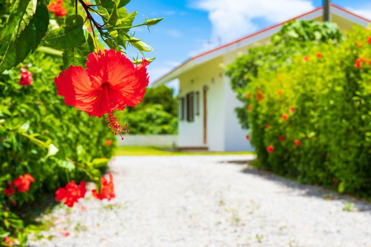Sunset Hill Ishigaki Villa Ishigaki  Luaran gambar